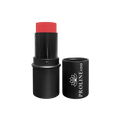 viaGlamour image of a Blush Stick
