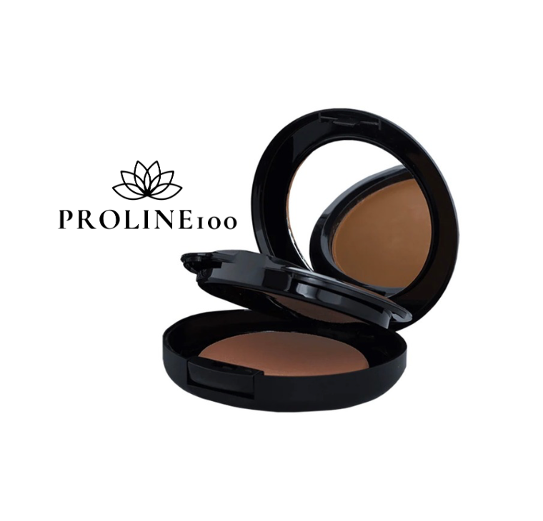 Foundation - Dual - 257 Golden Chestnut