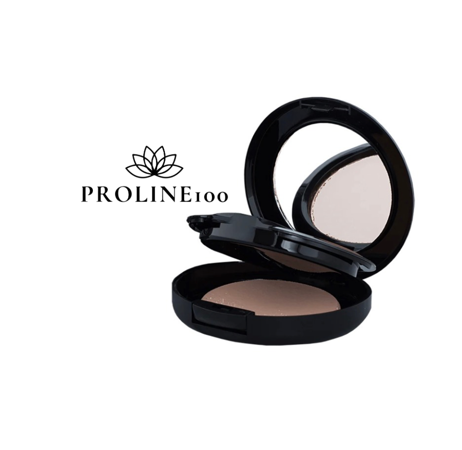 Foundation - Dual - 201 Light Porcelain